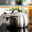 Marmite BergHOFF Belly Tri-Ply en acier inoxydable 18/10, 24 cm (9,5 po), 7 pintes (6,6 L) avec couvercle, noir fumé-136185363