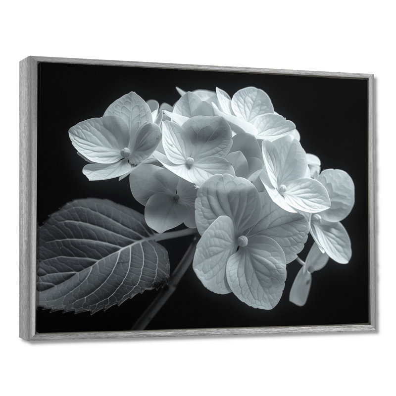 Monochromie élégante silhouette hortensia - impression d'art mural hortensia, Encadrement argenté, H 16 po x l 32 po