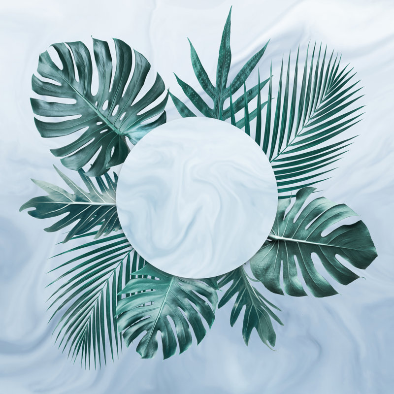 Tropical Leaves - Wrapped Canvas Print, 91cm H x 91cm W x 3.8cm D