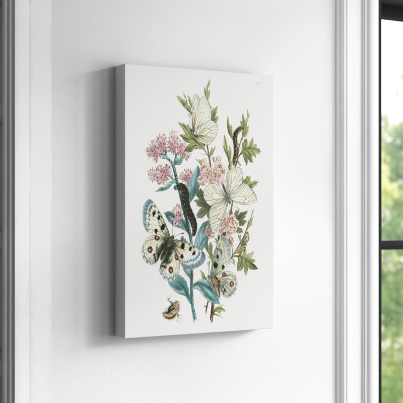 British Butterflies III - Painting Print, Wrapped Canvas, 46cm H x 30cm W