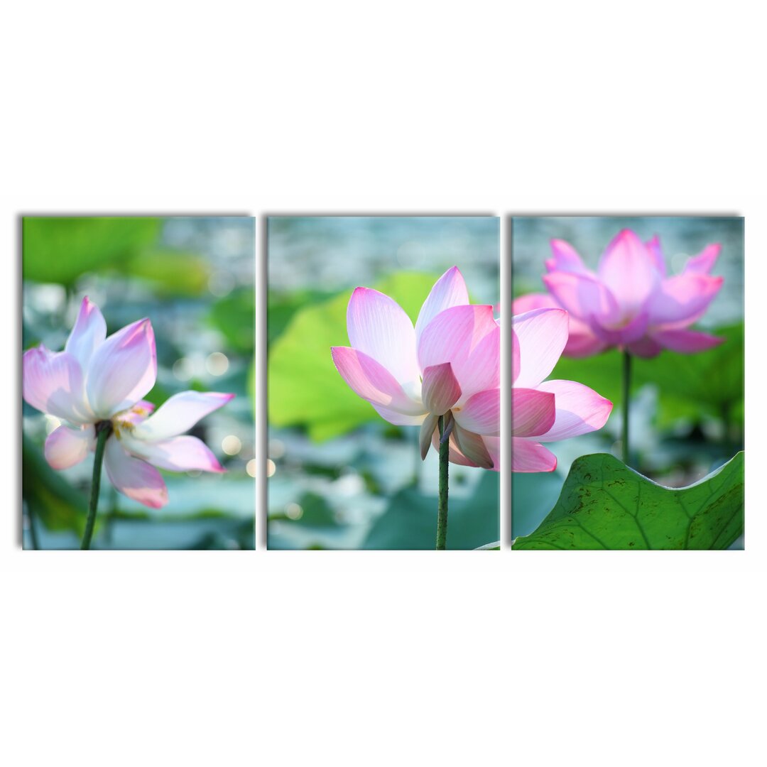 3-tlg. Leinwandbilder-Set Pink Lotus Flower in Pond