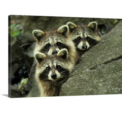 1x Modern & Contemporary