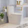 Swiss Madison St. Tropez Two-Piece Elongated Toilet Vortex Dual-Flush 1.1/1.6 gpf
