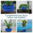 Outdoor Ceramic Ribbed Bowl Planter - Imperial Blue