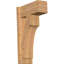 Sapin Douglas-113998552-109329344