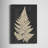 Linen Fern I Canvas Painting Print-221848573