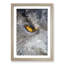 Eye of an Owl in Abstract - Picture Frame Graphic Art Print-55726408-55726409