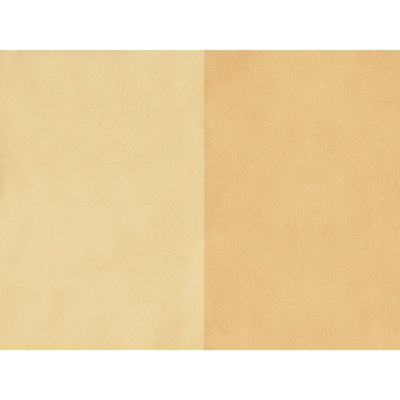 Petersburg Stp Silk Fabric