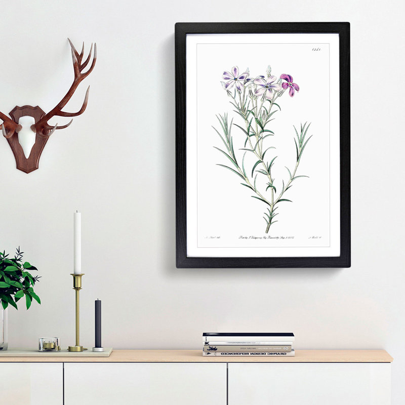 Purple Phlox Flowers - Framed Print, 48cm H x 36cm W x 2cm D, Black Framed