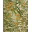 Abstract Area Rug in Green/Orange