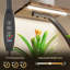 Plant Stand-1120359899