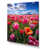 Wrapped Canvas