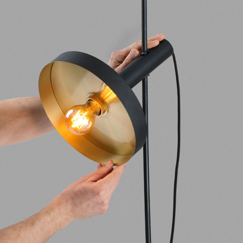 Whizz Pendant/Floor Lamp, Matte Black