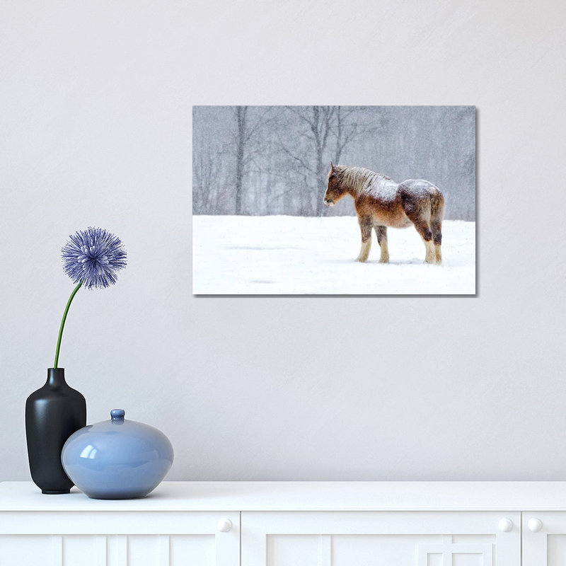 Stoic 1 Piece Wrapped Canvas Wall Art, 30.48cm H x  45.72cm W