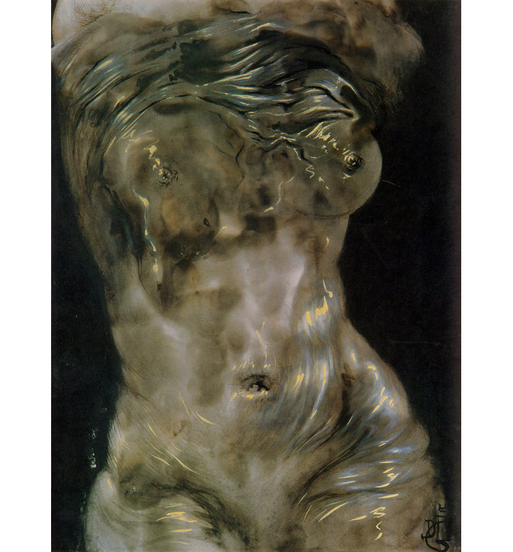 «Debris Christ» par Salvador Dali, toile tendue avec châssis, H 40 po x l 28 po
