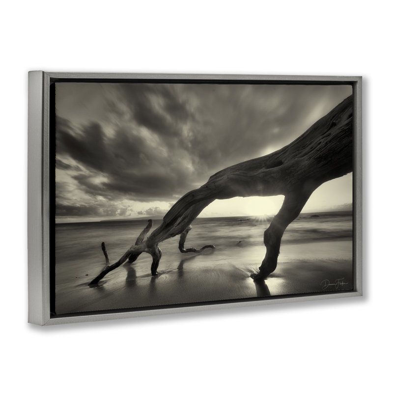 Toile flottante encadrée «Tree Trunk on Shore» par Dennis Frates, Cadre flottant gris lustré, H 21 po x l 31 po