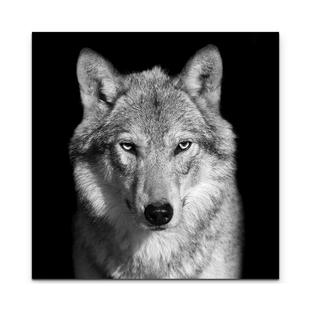 Leinwandbild Portrait – Wolf