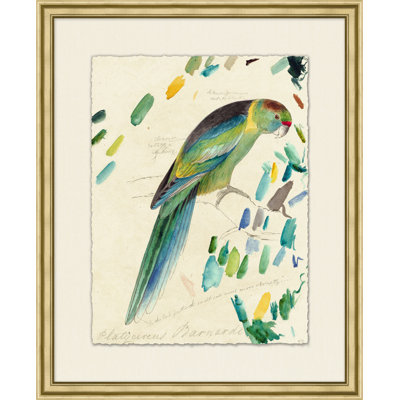 Lewin's Parrots 6 Painting