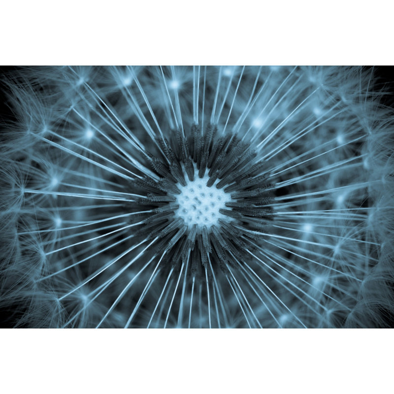 Wrapped Canvas Print, 50.8 cm H x 76.2 cm W