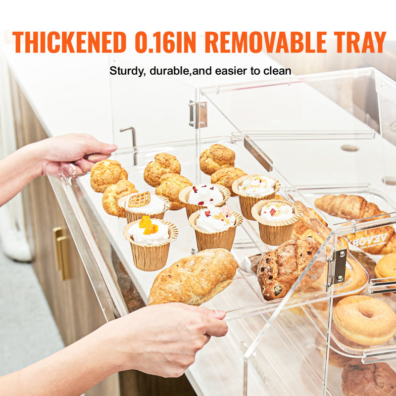 Clear Acrylic 2-Tier Pastry Display Case with Rear Door