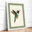 Ruby Hummingbird Botanical - Framed Print-1687067902-1687067903