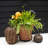 Traditional Plastic Indoor/Outdoor Plant Caddy-1427728807