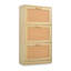 18 Pair Shoe Storage-349032501