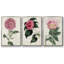Ensemble de 3 pièces sur toile moyenne-97811976-97811983