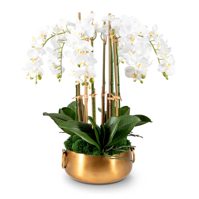 Madelyn Realtouch Orchid