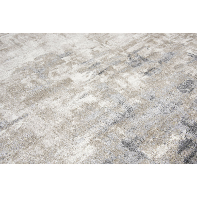 Tapis beige / gris à motif abstrait Healdsburg, Rectangle 5 pi 2 po x 7 pi 3 po