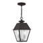 Lanterne suspendue d'extérieur 2 lumières Arnetria-22670196