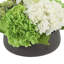 Organic Modern Arrangement with Orchids and Hydrangeas
