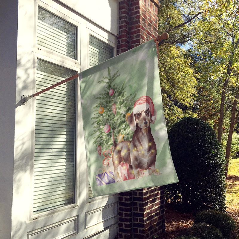 Drapeau de maison en polyester à 2 côtés Dawnyell 40 x 28 po