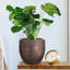 Bronze Concrete Effect Indoor Plant Pot, Indoor Planter with Metallic Looks, Small Flower Pot with Row Pattern D27 H25.5 cm, with Inner Top D23 cm, 14 litres