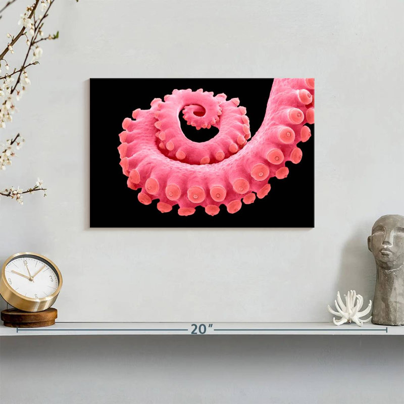 Brampt Pink Octopus Tentacle, 8" H x 12" W