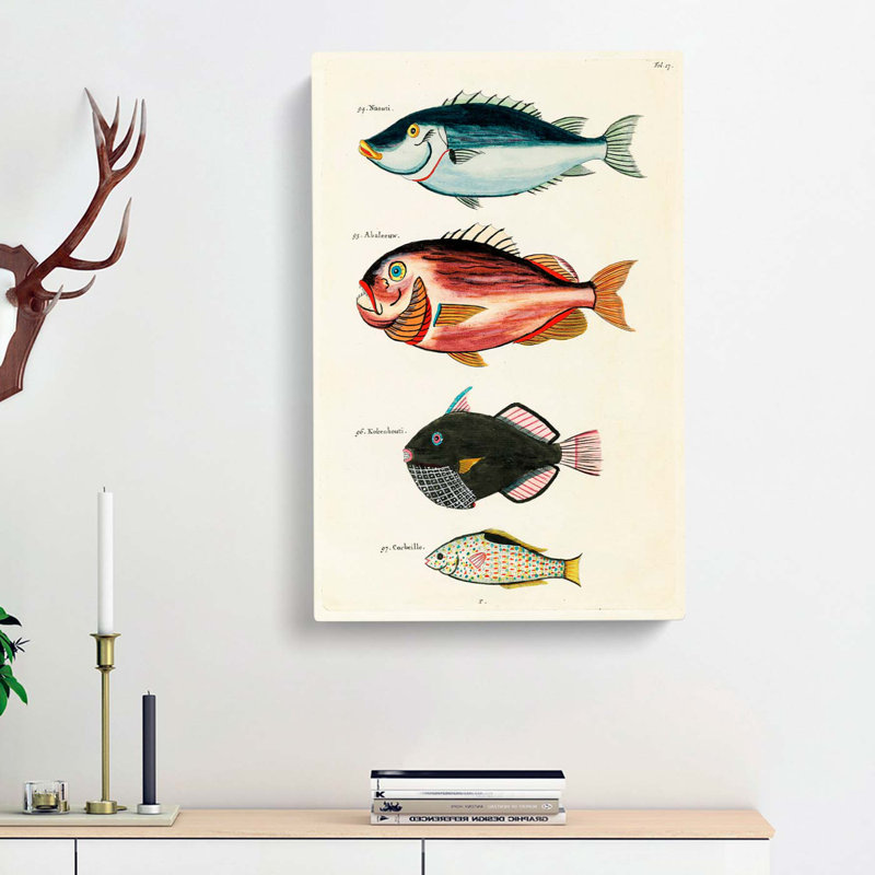 East Indies Fish Illustrations Fol. 17 by Oliver Goldsmith - Wrapped Canvas Painting, 60cm H x 40cm W x 3cm D