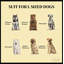 Poste d'alimentation pour chien de style moderne, armoire de rangement pour nourriture pour chien-123168301