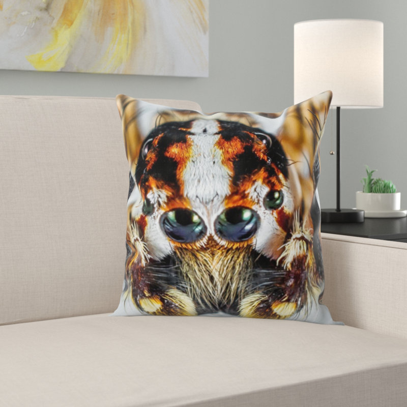 Coussin de spider saut