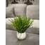 Fausse herbe Weatherhill en pot de fibres