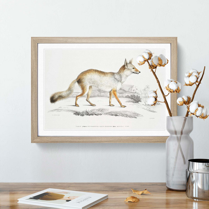 Bengal Fox by John Edward Gray - Single Picture Frame Painting, Oak Framed, 24cm H x 33cm W x 2cm D