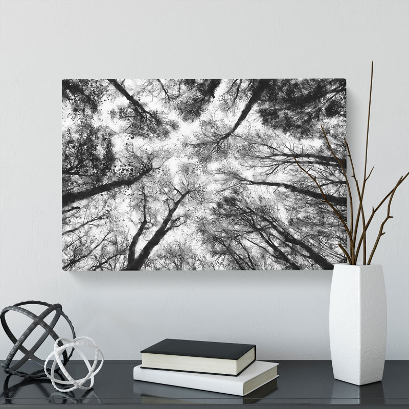 Vaulted Tree Branches - Wrapped Canvas, 60cm H x 91cm W x 3cm D
