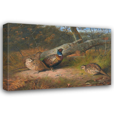 "The Fallen Beech- a Cock and Three Hen Pheasants with a Wasp" by  Archibald Thorburn - Gallery Wrap Canvas Wall Art