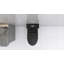 Toilette allongée une pièce à double chasse 1,1 / 1,6 GPF noir mat 1000G