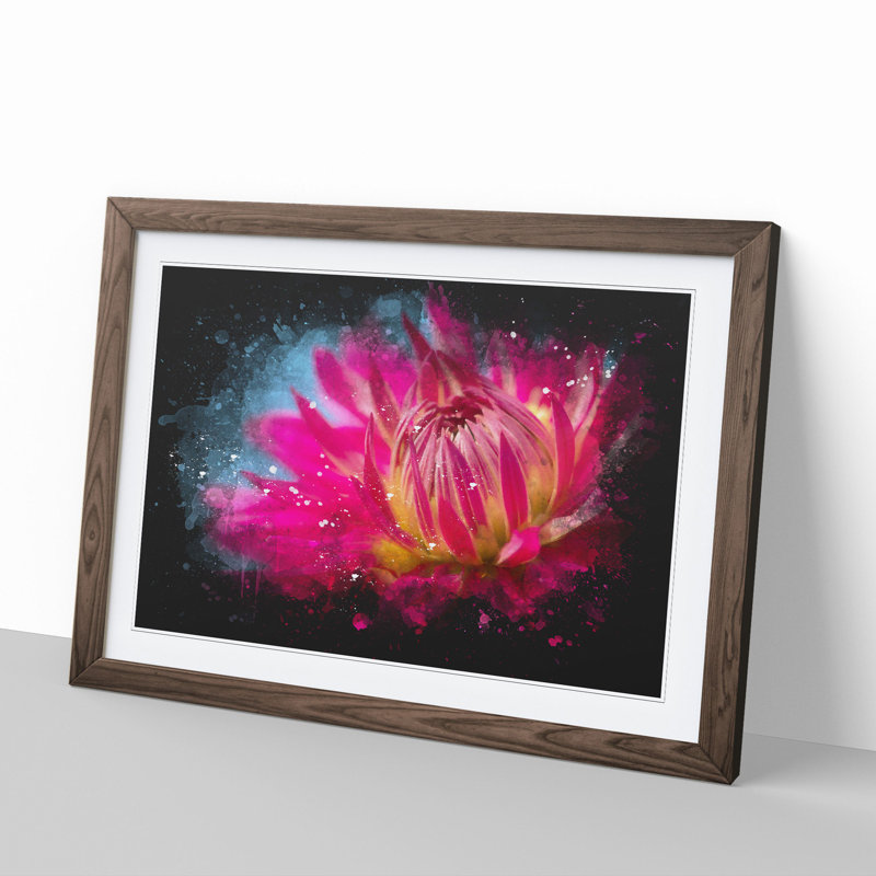 The Pink Flower - Framed Print, Walnut Framed, 27cm H x 36cm W x 2cm D