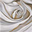 Gros plan sur une rose blanche