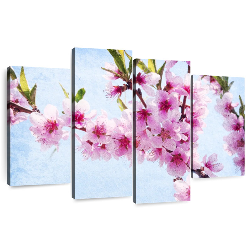 Fleurs de pêcher Harnek