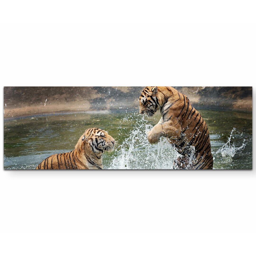 Leinwandbild Spielende Tiger im Wasser