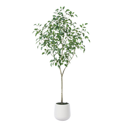 Anasta Faux Ficus Tree with Oval White Planter, Pre Potted Faux Greenry Plant for Home Decor