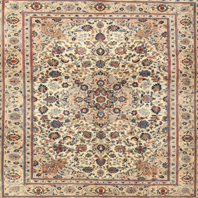 Aneira Oriental Indoor Rug