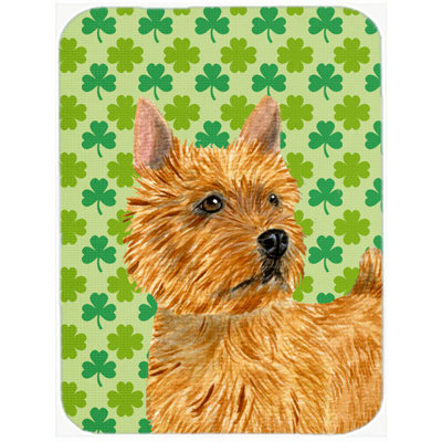 Planche à découper en verre st. patrick caroline the the norwich terrier st. patrick Shamrock Lucky Irish